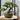 Runder minimalistischer Bonsai-Topf für kleine Pflanzen