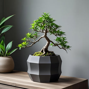 Moderner zehneckiger Blumentopf in minimalistischem Design