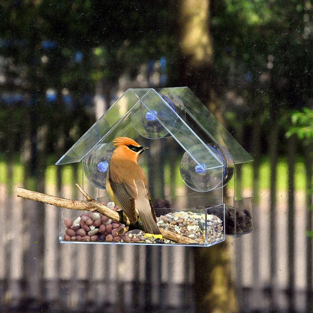Vogelfutterstation aus Acryl mit Saugnäpfen