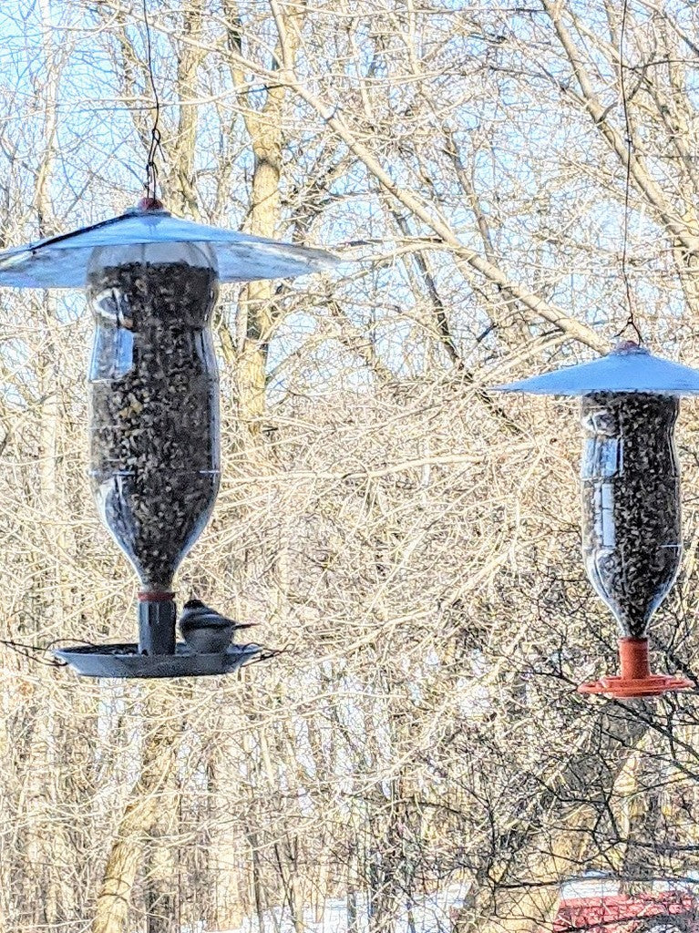 Verbesserter Vogelfutterspender aus Sodaflaschen