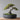 Runder Topf mit Abfluss für Bonsai-Bäume