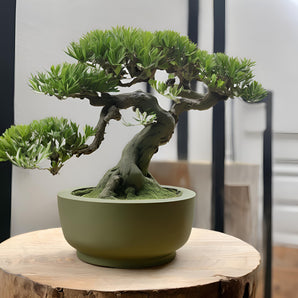 Runder minimalistischer Bonsai-Topf für kleine Pflanzen