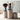 Praktischer Make-up-Organizer und Pinselhalter
