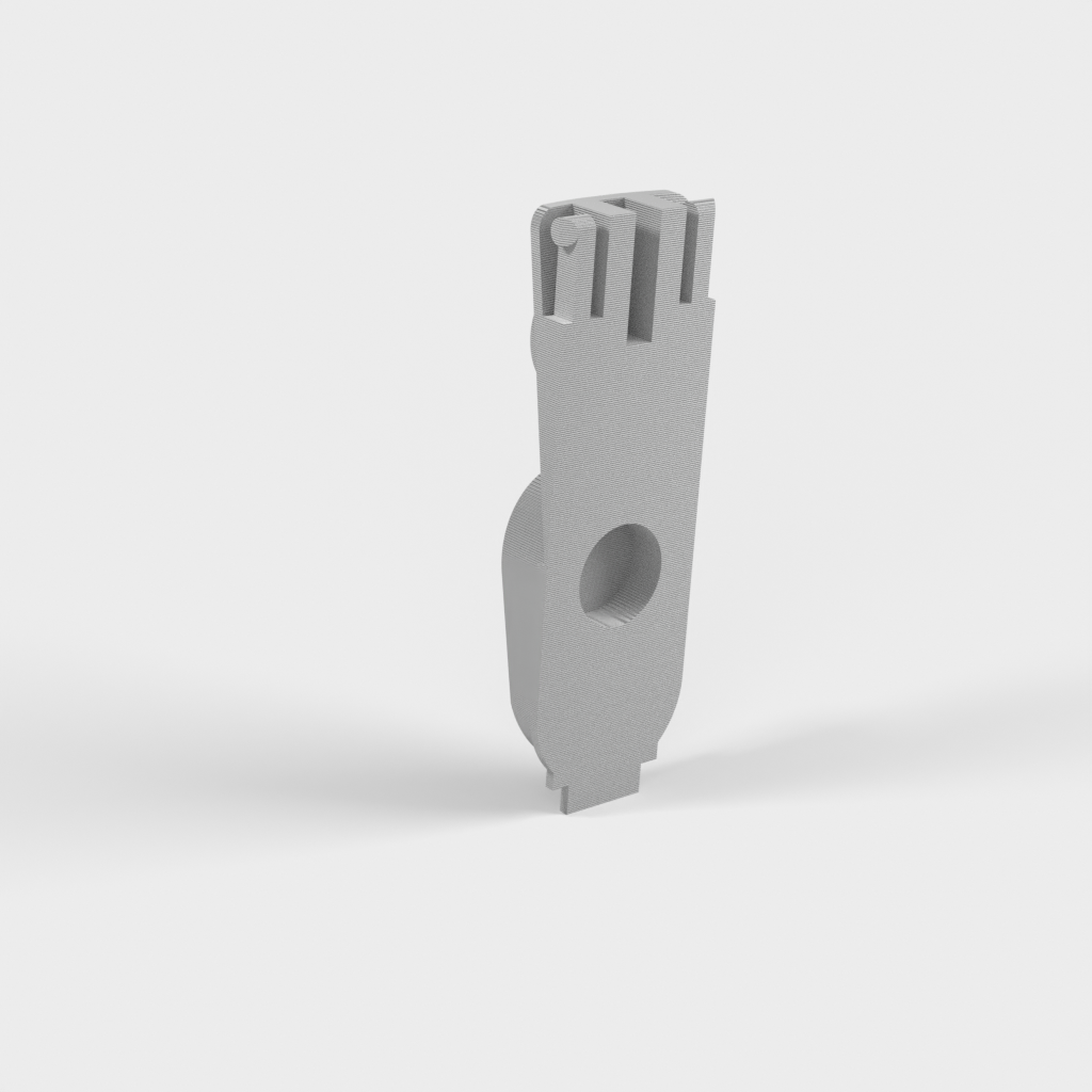 My 3D Model