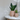 Moderner GeoBloom Pflanztopf mit geometrischem Design