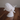 Realistische Walskulptur auf elegantem Ständer
