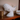 Realistische Walskulptur auf elegantem Ständer