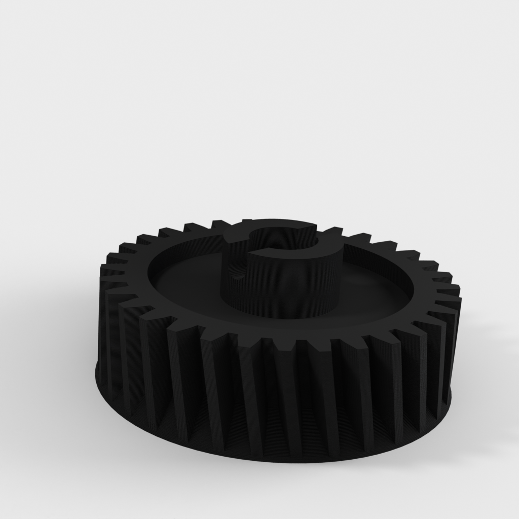 My 3D Model