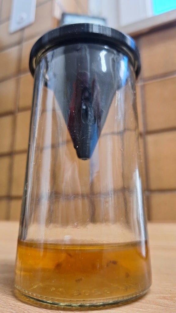 Effektive Fruchtfliegenfalle für Zuhause – Zum Recycling von Glas