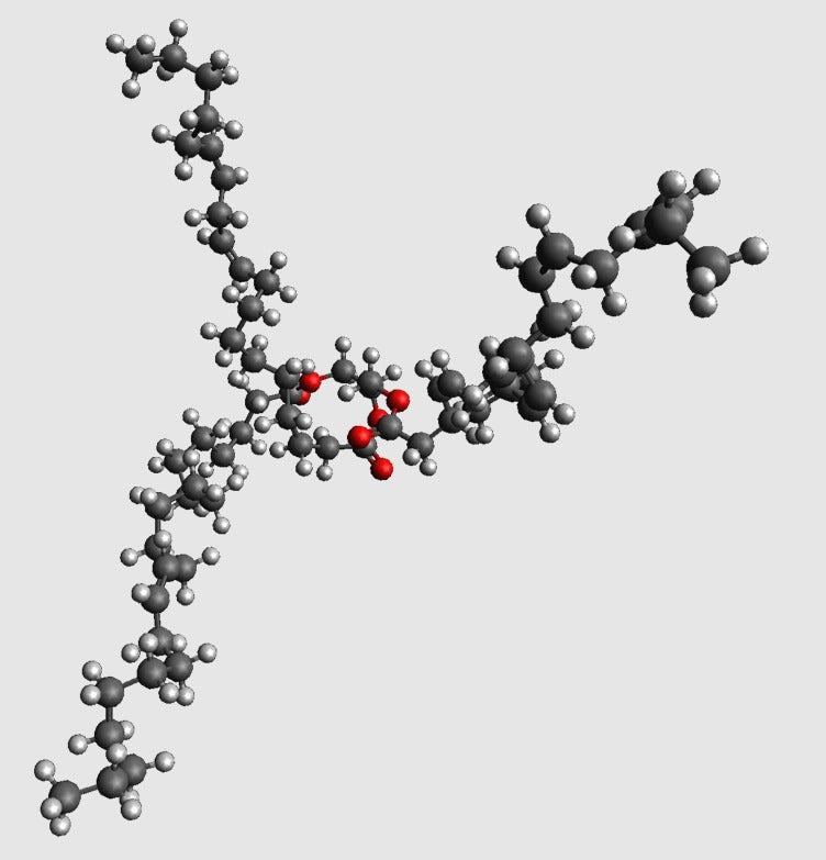Triacylglycerin-Molekülmodell im Atommaßstab